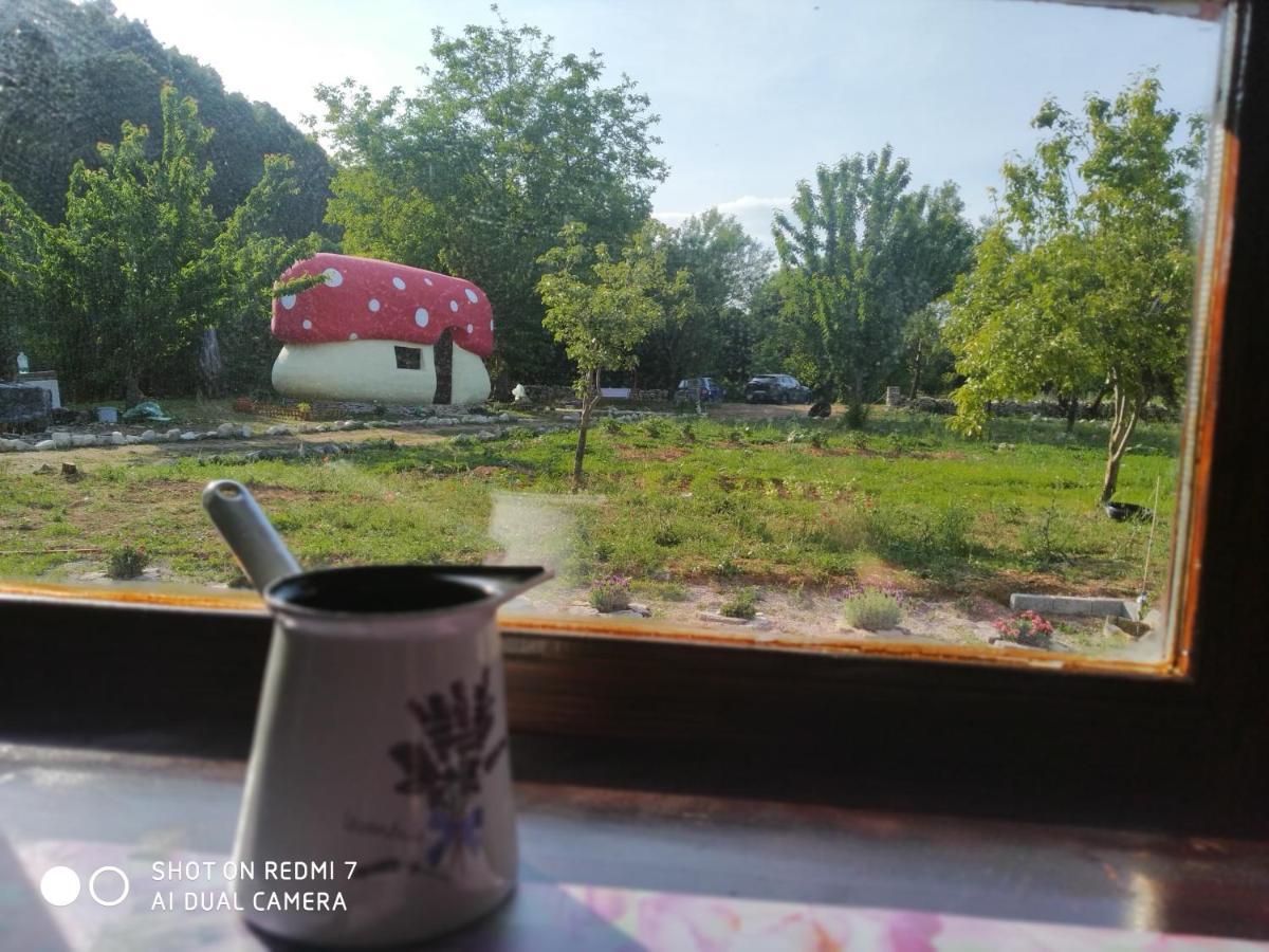 Krka Fairytale Little Castle Hotel สกราดิน ภายนอก รูปภาพ